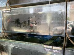 -白洋淀灶台鱼(名佳花园店)