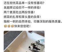 -吴越荣记·苏州菜·松鼠桂鱼(斜塘老街店)