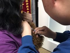 -美联众合宠物医院·爱萌分院·内外科·猫科中心