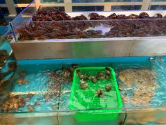 -海鸿荟·沿江菜(中山北路店)