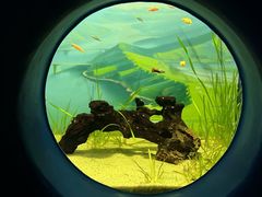 -欢乐海岸海洋奇梦馆