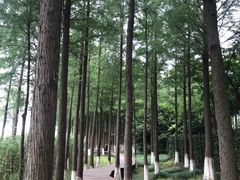 -太湖湖滨国家湿地公园-停车场