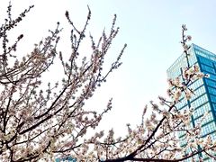 -兔途体检(十里堡青年路店)