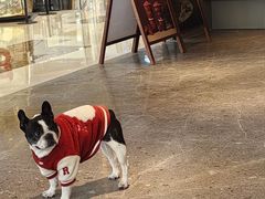 -阿嬷手作(成都万象城店)