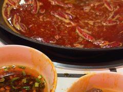 -朱光玉火锅馆(正弘城店)