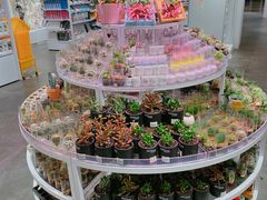 -KKV(深圳kk one 店)
