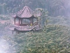 -清溪大王山森林公园