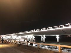 -演武大桥观景平台