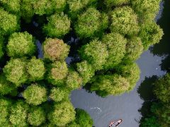 -星湖旅游景区七星岩