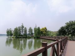 -海珠湖公园
