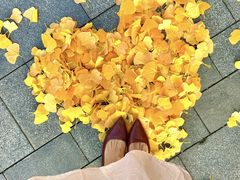 -龙湖杭州滨江天街