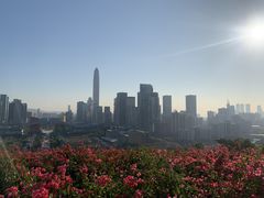 -莲花山公园