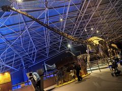 -世界恐龙谷景区