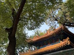 -北京国子监胡同