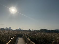 -鹦鹉洲湿地公园