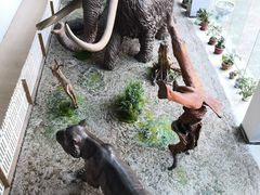 -中国第四纪冰川遗迹陈列馆