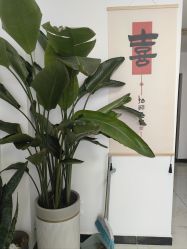 -午后美甲美睫生活馆