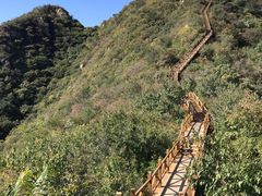 -大岭沟猕猴桃谷风景区