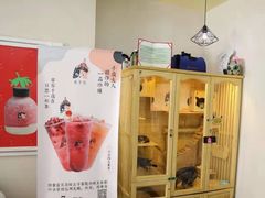 -Meet Fresh鮮芋仙(时代天街店)