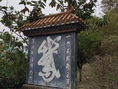 -靖西鹅泉风景区