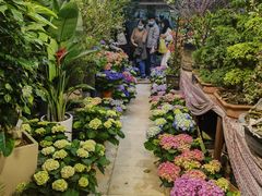 -双季花艺园艺市场(浦东店)