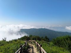 -北京鹫峰国家森林公园