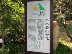 -北京鹫峰国家森林公园