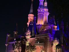 -迪士尼火鸡腿