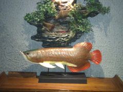 大堂-富侨养生(康乾店)