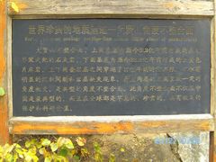 -牛郎织女景区