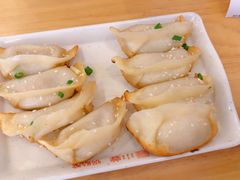 鲜肉锅贴-小姜锅贴(凤凰街店)