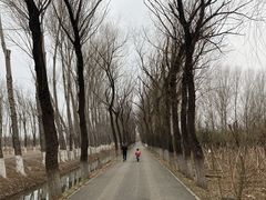 -东郊湿地公园