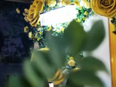 -保定东湖公园(莲池区)