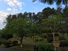 -森波拉火山温泉