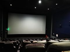 -万达影城(江桥万达广场IMAX店)