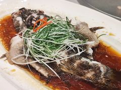 -沪碟·精菜坊(闵行店)