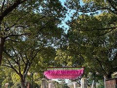 -苏州太湖西山岛开心农场