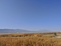 -盐湖景区