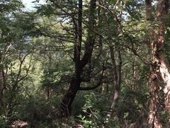 -白草畔自然风景区