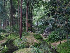 -成都市活水公园