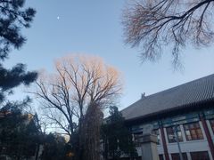 -北京大学赛克勒考古与艺术博物馆