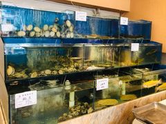 景观位-高丽居(福春店)
