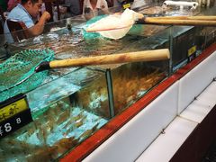 -皮记海鲜1995(寮步店)
