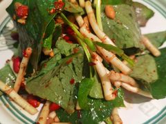 凉拌折耳根-云海肴·汽锅鸡·云南菜(美罗城店)