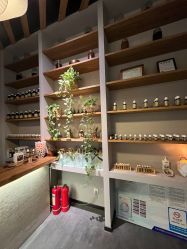 -芳香乐府疗愈空间·SPA·冥想