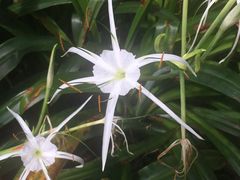 -云溪植物园