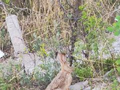 -鬼笑石后山停车场