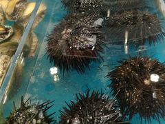 -金海湾海鲜总店