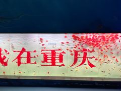 -重庆欢乐海底世界