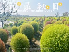 -花开海上生态园